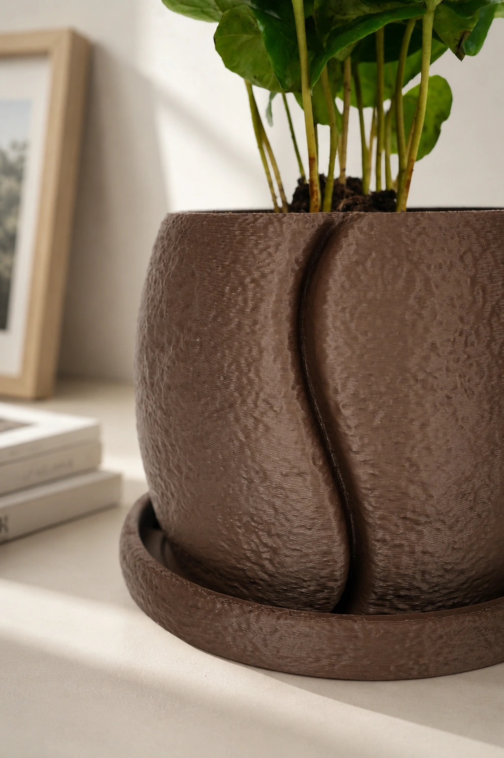 Macetero Cofesia inspirado en granos de caf&eacute; con planta en una escena c&aacute;lida de interior
